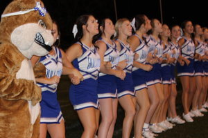 Bulldogs Best Lions