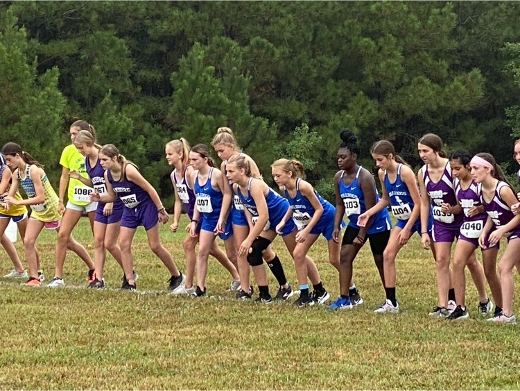 xc