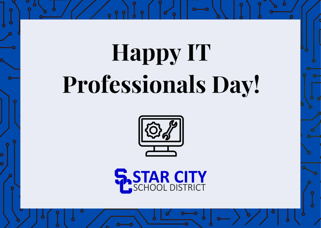It professionals day